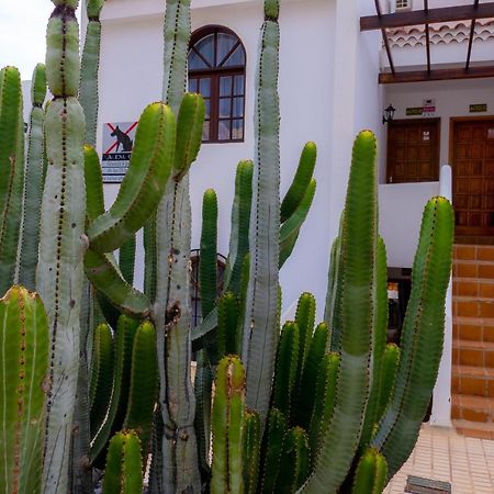 Las Bouganvillas 1 Bed Apartment In Costa Adeje Εξωτερικό φωτογραφία