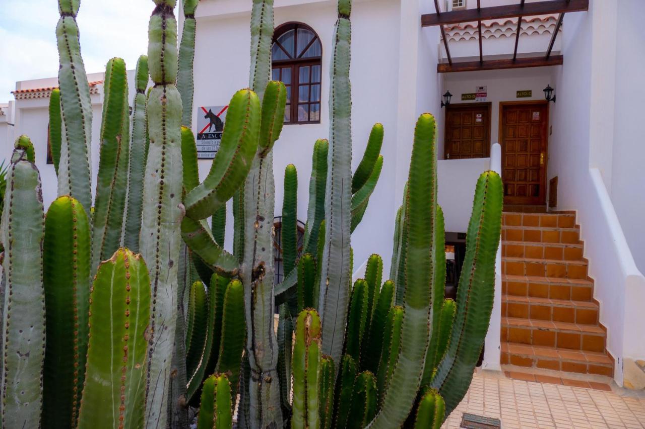 Las Bouganvillas 1 Bed Apartment In Costa Adeje Εξωτερικό φωτογραφία